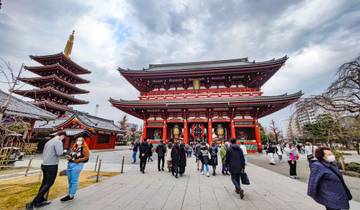 Enchanting Japan: From Tokyo's Bustle to Kyoto's Serenity (Private Tailored)