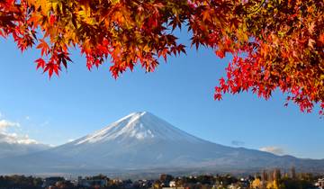 Enchanting Japan: From Tokyo\'s Bustle to Kyoto\'s Serenity (Private Tailored) Tour