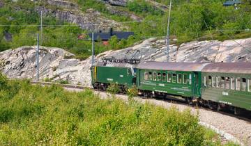 Highlights of Norway  (Bergen to Oslo) (2025)
