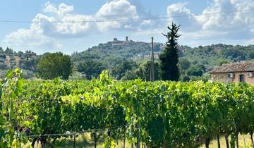 Tuscany Wine Trails