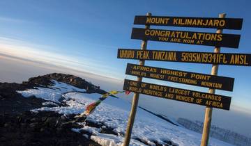 Kilimanjaro Lemosho Route 8 Day *High summit success rate* Tour