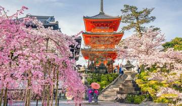 10 joursJapon - Circuit des cerisiers en fleurs en famille avec un adolescent (guide et chauffeur privés）) circuit