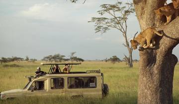 Kilimandscharo Besteigung über die Marangu Route 6 Tage + 2 Tage Safari Rundreise