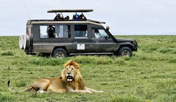 Desde Arusha:7días Descubre la verdadera África desde el Lago Manyara