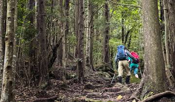 Japan Kumano Kodo Highlights Hiking (Self-Guided) Tour