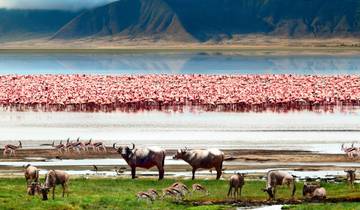 Serengeti & Ngorongoro Safari (6 Destinationen)