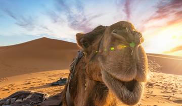 2 dagen 1 Nacht Woestijntocht van Fes naar Marrakech