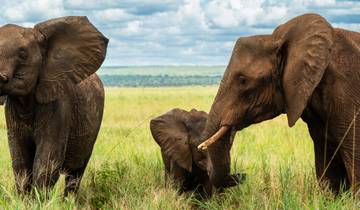 Zanzibar & Lake Manyara