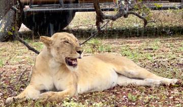 Van Zanzibar naar Selous 8 dagen : safarireis door Selous Game Reserve en Tropisch eiland beleven