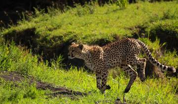 Zanzibar & Fly-In Serengeti-rondreis