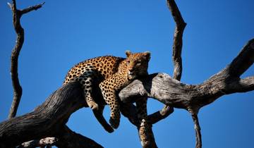 4-Day Ultimate Kruger National Park Big 5 & Panorama Route Safari Tour