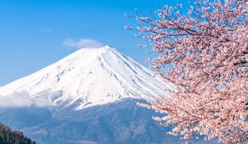 14 Days Japan Honeymoon: Japan Cherry Blossom and Cultural (private guide & driver） Tour