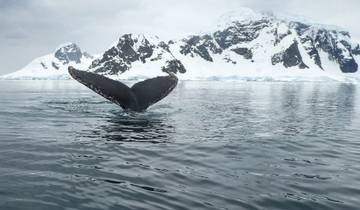 24 Days in Antarctica & South America, incl. Antarctic Peninsula and Falkland Islands