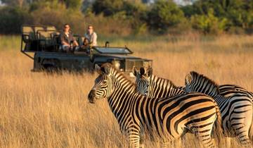 Circuito Excursión de 1 día a Moremi desde Maun