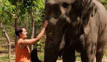 Visite privée du Phnom Tamao centre animalier et du Bouddha Kiri au Cambodge, au départ de Phnom Penh