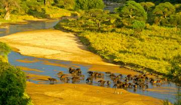 5 Days Tanzania Group Joining Safari Tour