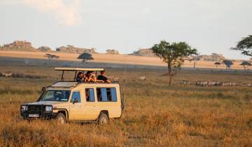 Safari de 2 días a Tarangire y Ngorongoro