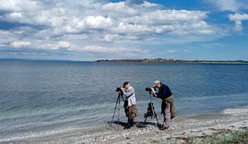 Circuito intensivo de primavera para observación de aves (Bulgaria)