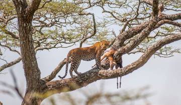 Tansania: Strandaufenthalt & Safari 10 Tage Rundreise