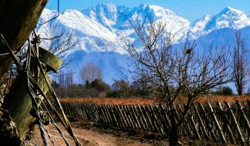 Trek & Climb: Cerro Montura (4,950m) & Mendoza Vineyards Tour Tour