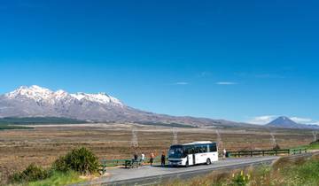 24 Days in New Zealand, incl. Auckland and Christchurch