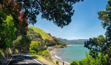 24 Days in New Zealand, incl. Auckland and Christchurch