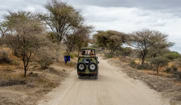 14 jours au Kenya, en Tanzanie et à Zanzibar circuit