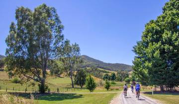 Circuito de Beechworth a Bright - Circuito guiado de fin de semana de Pascua