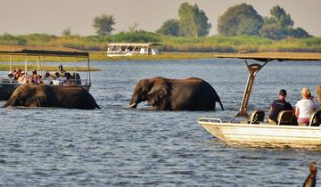 Wilderness of Southern Africa: Safari by Land & Water  (Johannesburg to Victoria Falls) (2025)