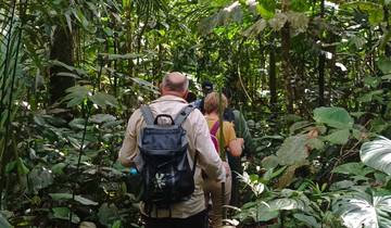 L\'Équateur enchanté : Forêt tropicale, Andes et culture - 9 jours/8 nuits circuit