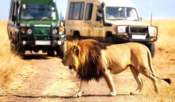 10 daags Keniaans safari-avontuur en rustig strandverblijf in Mombasa-rondreis