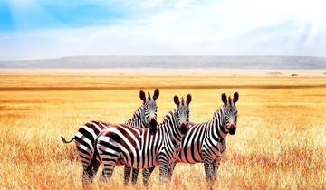 10 Day Kenyan Safari Adventure and Tranquil Mombasa Beach Getaway