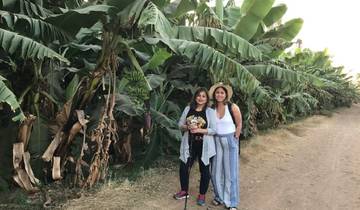 Luxor: Ost- und Westufer mit Bananeninsel ab Hurghada 2 Tage Rundreise