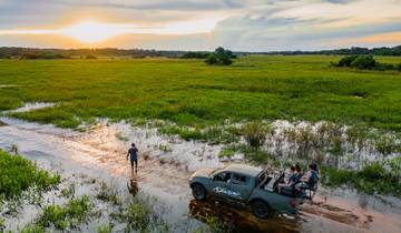 Northern Pantanal & Jaguar Safari with optional stay in Porto Jofre