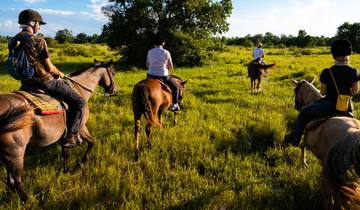 Northern Pantanal & Jaguar Safari