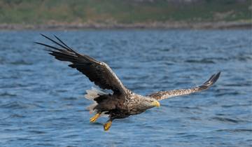 14 Day Scotland Itinerary, incl. Edinburgh and Isle of Skye