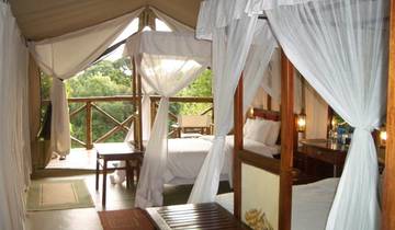 3 days 2 nights private safari to Maasai mara figtree CAMP