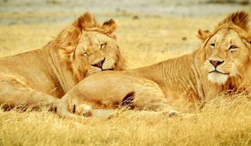 Exotic East African Adventure 7 Days/6 Nights