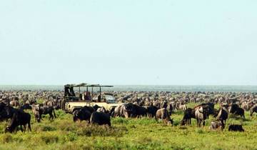 7 Days in East Africa, incl. Serengeti and Ngorongoro