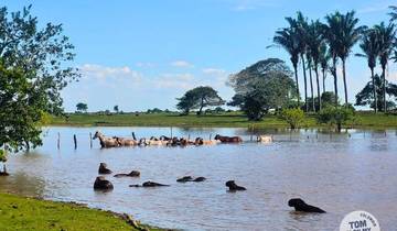 4-Day Ultimate Colombian Llanos Safari Experience Tour