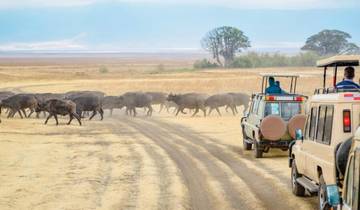 3-Day Budget Camping Safari In Amboseli (In a 4x4 Jeep Ride) Tour
