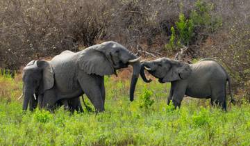 3 Days Safari to Nyerere National Park Ex Selous