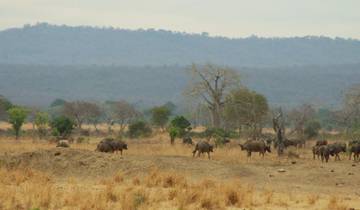 3 Days Safari to Mikumi National Park