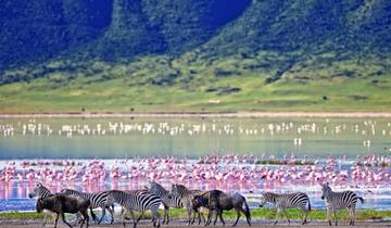 4 Days - Lake Manyara, Serengeti, Ngorongoro Crater Tour