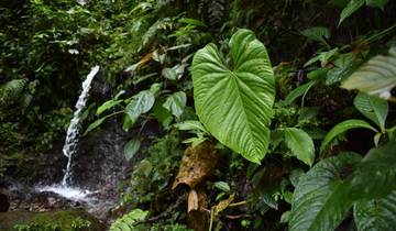 12 dagen Ecuadoriaanse Andes & Toegangspoort tot de Amazone