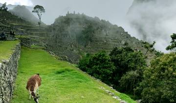 6 jours d'aventure sur le Chemin Inca jusqu'au Machu Picchu
