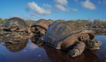 Circuito Islas de ensueño en el Océano Índico