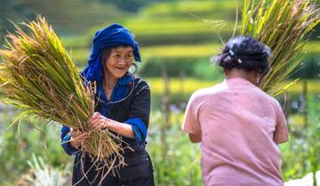 Mu Cang Chai und Halong Bucht Rundreise