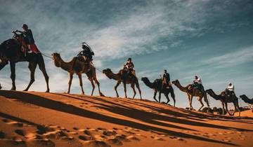 The Ultimate Grand Morocco Journey: From Imperial Cities to the Sahara & Atlantic Coast Tour