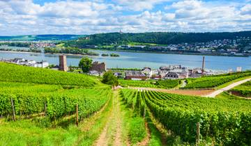Vignobles du Rhin et de la Moselle (croisière viticole) 2026